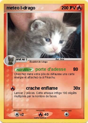 Pokemon meteo l-drago