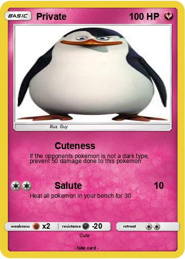Pokemon Private