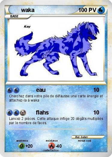 Pokemon waka