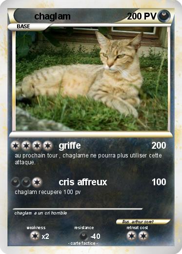 Pokemon chaglam