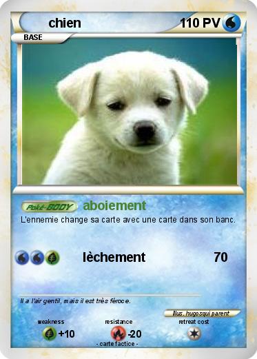 Pokemon chien