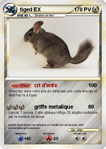 Pokemon tiged EX