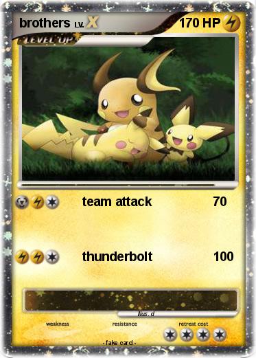 Pokemon brothers