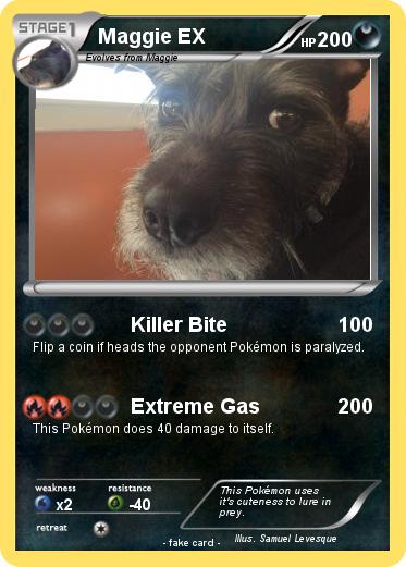 Pokemon Maggie EX