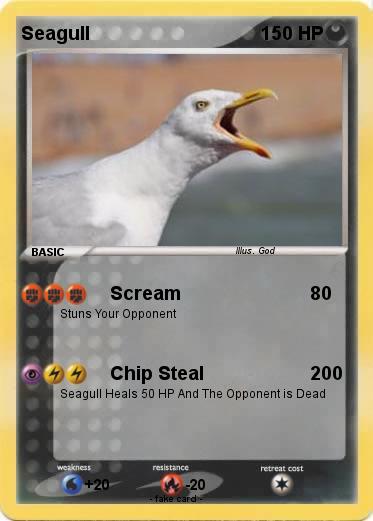 Pokemon Seagull