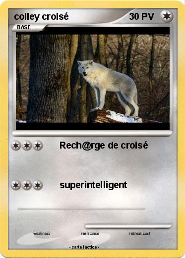 Pokemon colley croisé