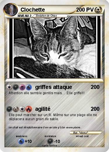 Pokemon Clochette