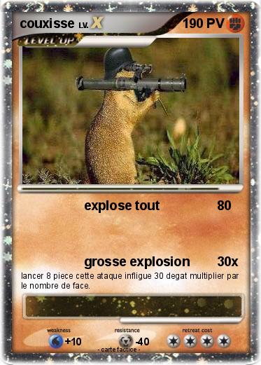 Pokemon couxisse