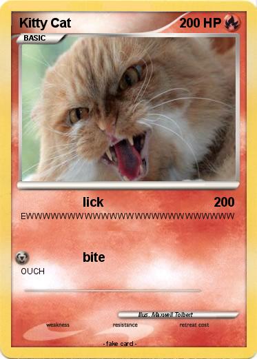 Pokemon Kitty Cat