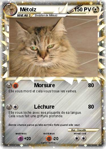 Pokemon Métolz