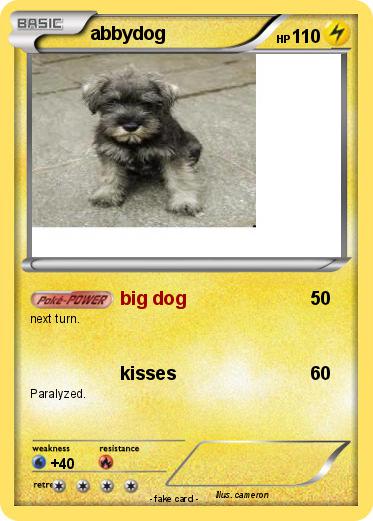 Pokemon abbydog