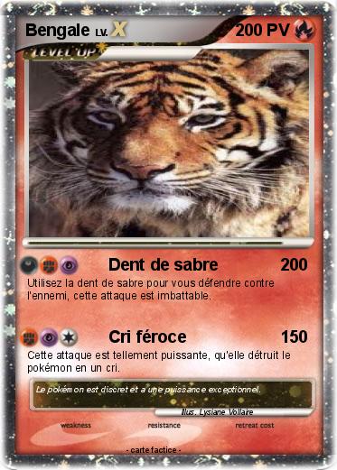 Pokemon Bengale