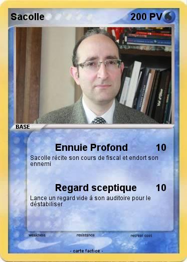Pokemon Sacolle