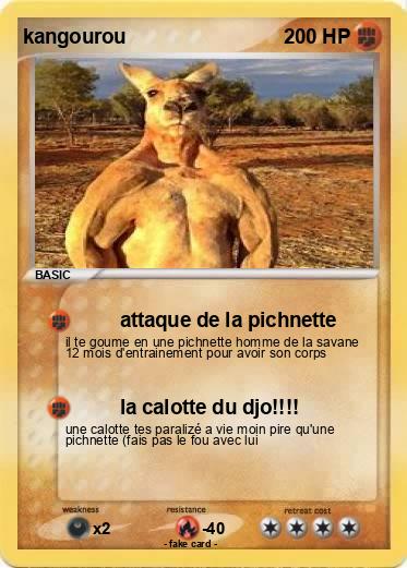 Pokemon kangourou