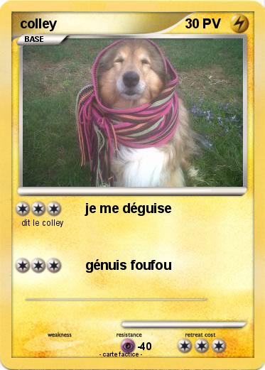 Pokemon colley