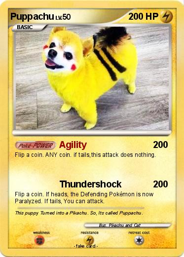 Pokemon Puppachu