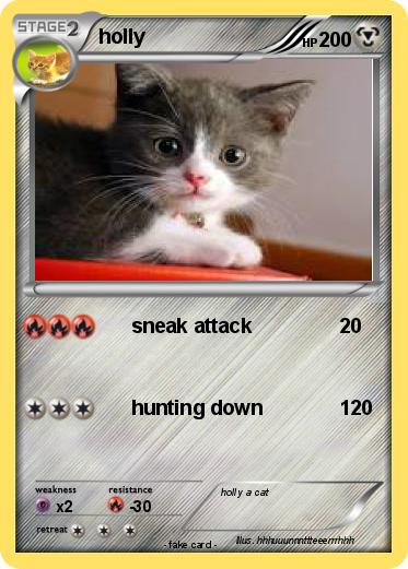 Pokemon holly
