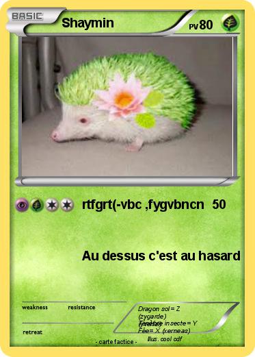 Pokemon Shaymin