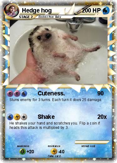 Pokemon Hedge hog