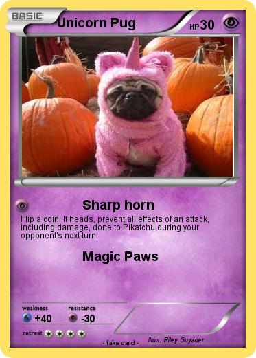 Pokemon Unicorn Pug
