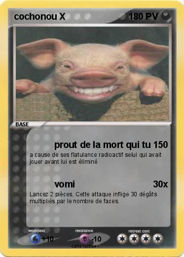 Pokemon cochonou X