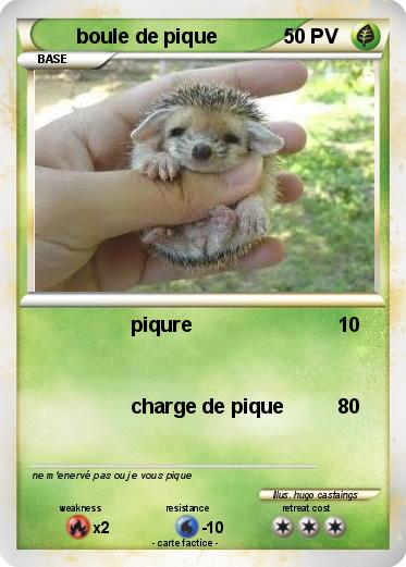 Pokemon boule de pique