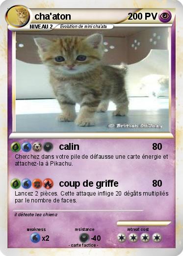 Pokemon cha'aton