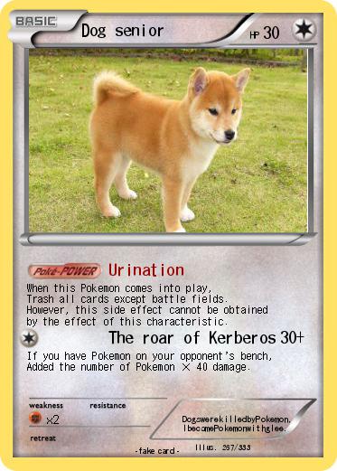 Pokemon Dog senior