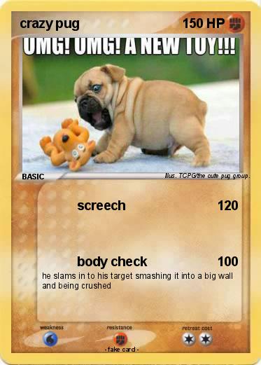Pokemon crazy pug