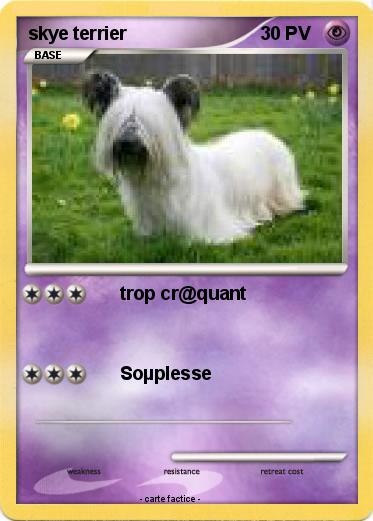 Pokemon skye terrier