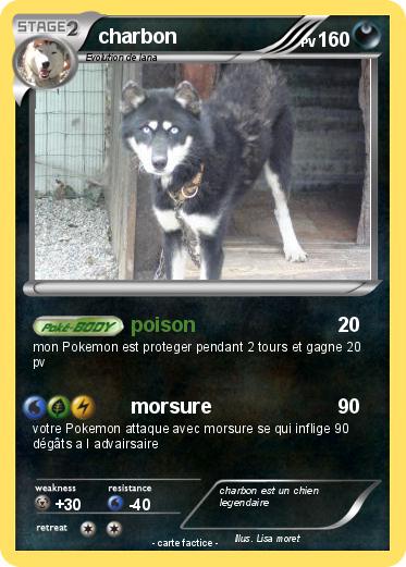 Pokemon charbon