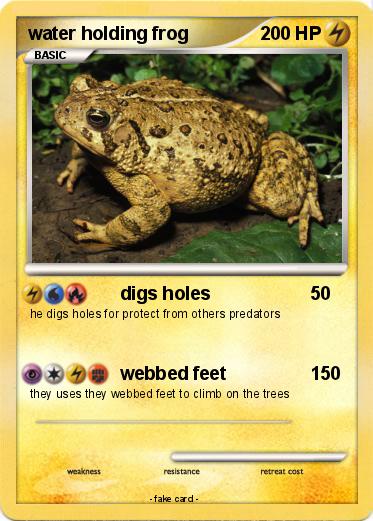 Pokemon water holding frog