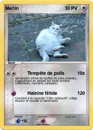 Pokemon Merlin