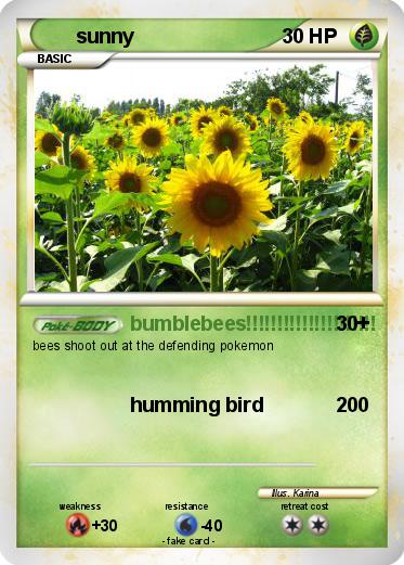 Pokemon sunny