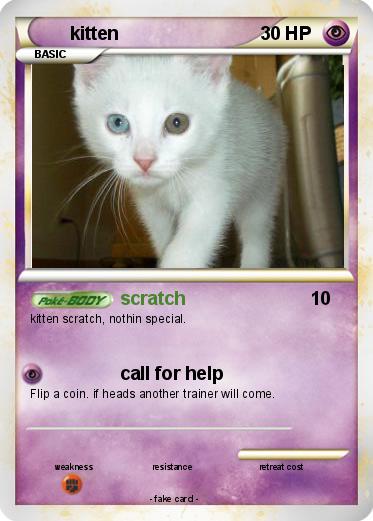 Pokemon kitten