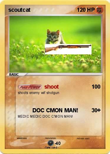 Pokemon scoutcat