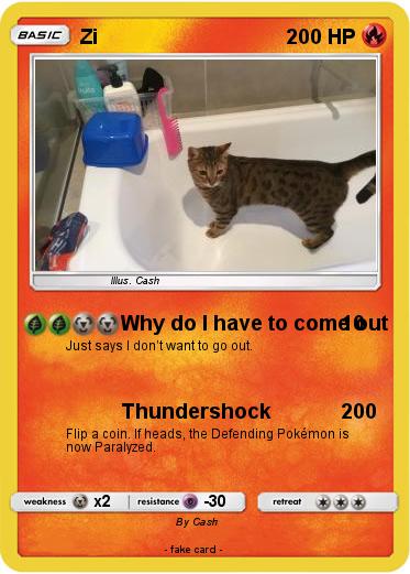 Pokemon Zi
