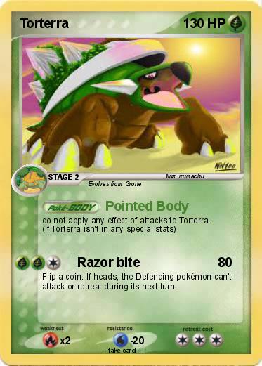 Pokemon Torterra
