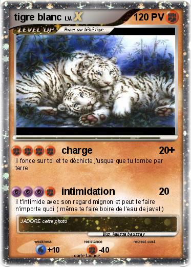 Pokemon tigre blanc