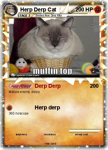 Pokemon Herp Derp Cat