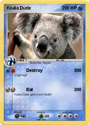 Pokemon Koala Dude