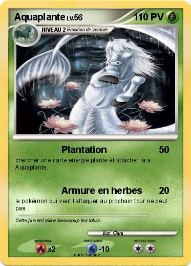 Pokemon Aquaplante