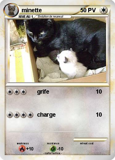 Pokemon minette