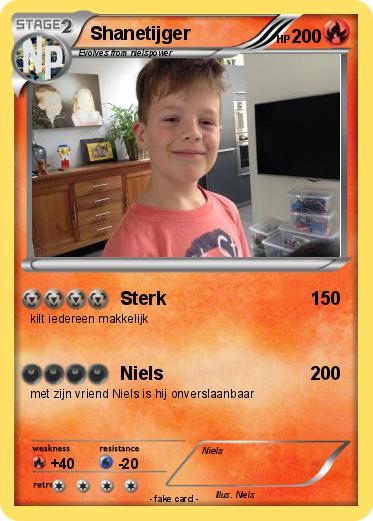 Pokemon Shanetijger