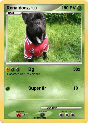 Pokemon Ronaldog