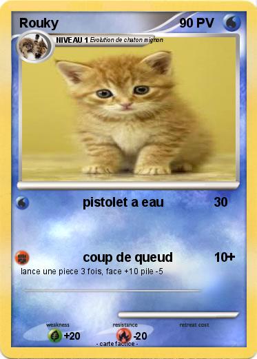 Pokemon Rouky