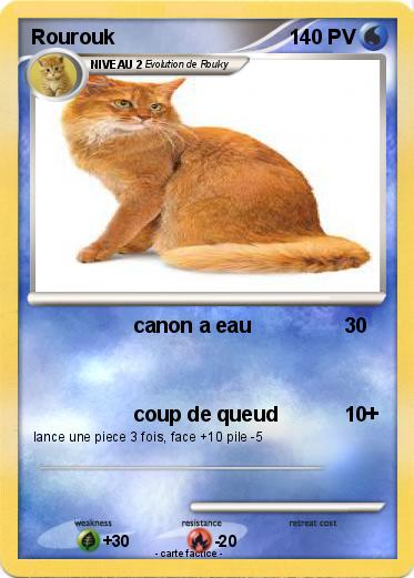 Pokemon Rourouk