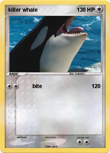 Pokemon killer whale