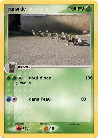 Pokemon canarde