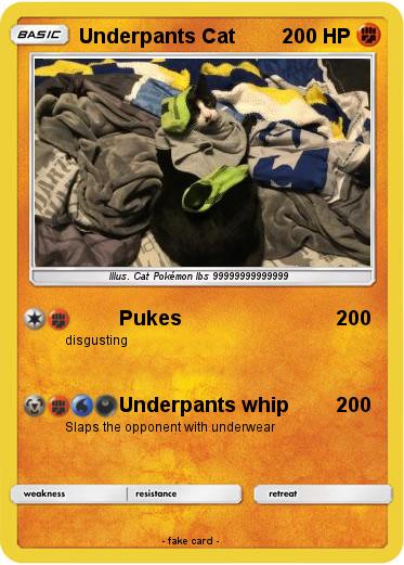 Pokemon Underpants Cat